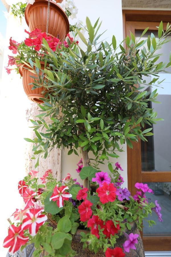 Dimitra Boutique Hotel Poros Town Bagian luar foto
