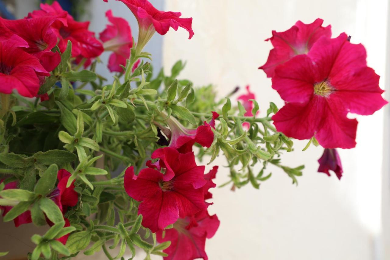 Dimitra Boutique Hotel Poros Town Bagian luar foto